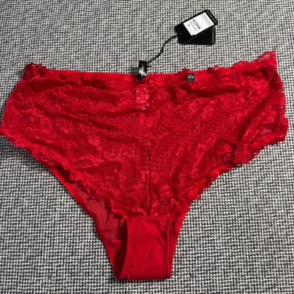 City Chic Manon Hi Brief Panty Rose Red Lace Mesh Plus Size 22/24 NEW